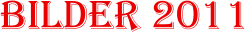 Bilder 2011