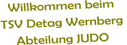 Willkommen beim  TSV Detag Wernberg  Abteilung JUDO